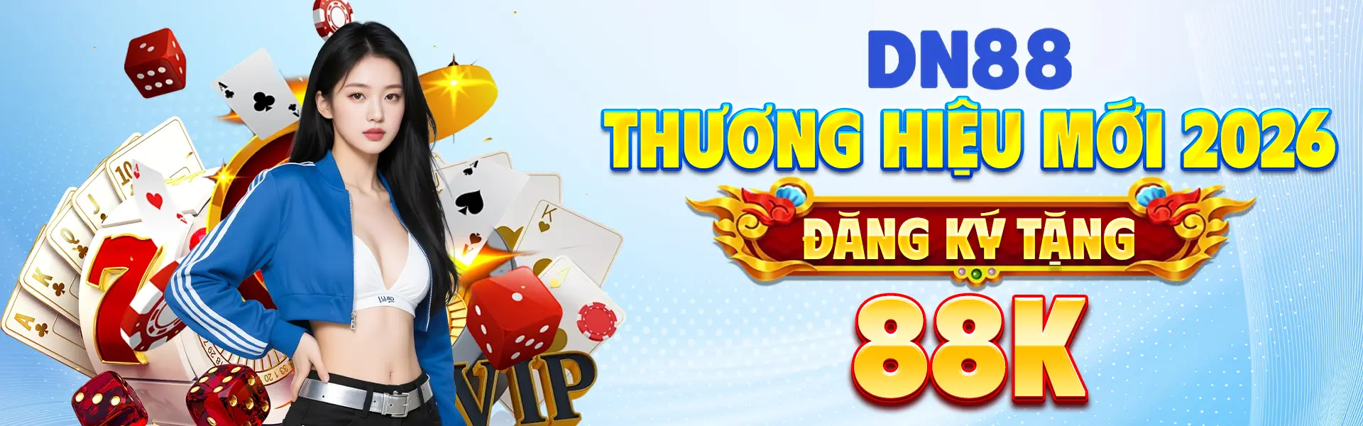 Banner DN88
